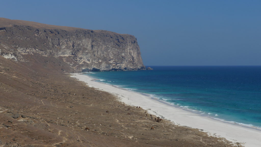 Little known Aftalqut beach makes a highlight of Salalah West Coast tour. Beach is deserted most of the time.