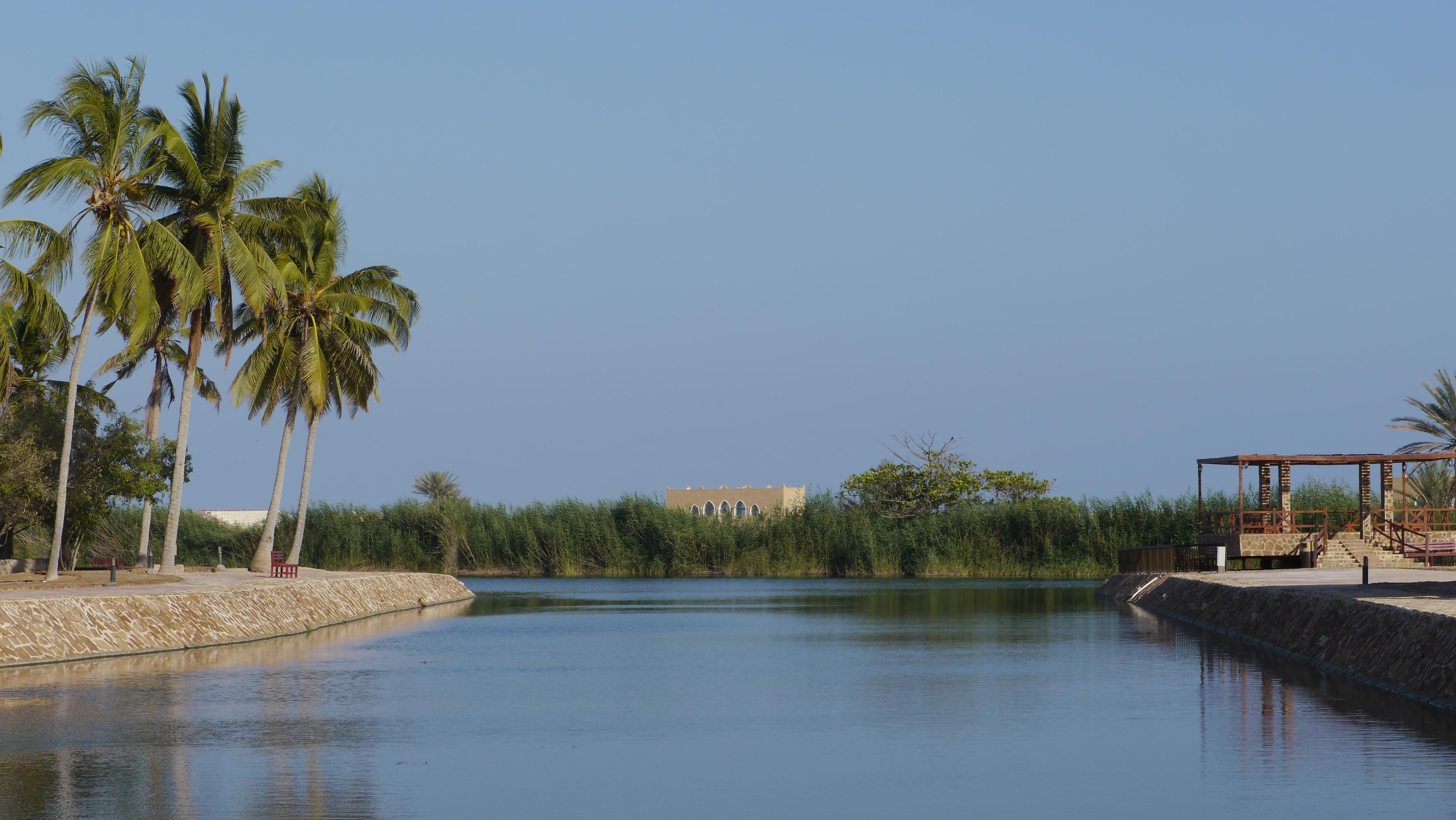 Khor Baleed or Baleed lagoon is surrounding the al-Baleed Archeological Park (Unesco) in Salalah. It used to serve as natural berth for the ships exporting frankincense. Salalah city tour.