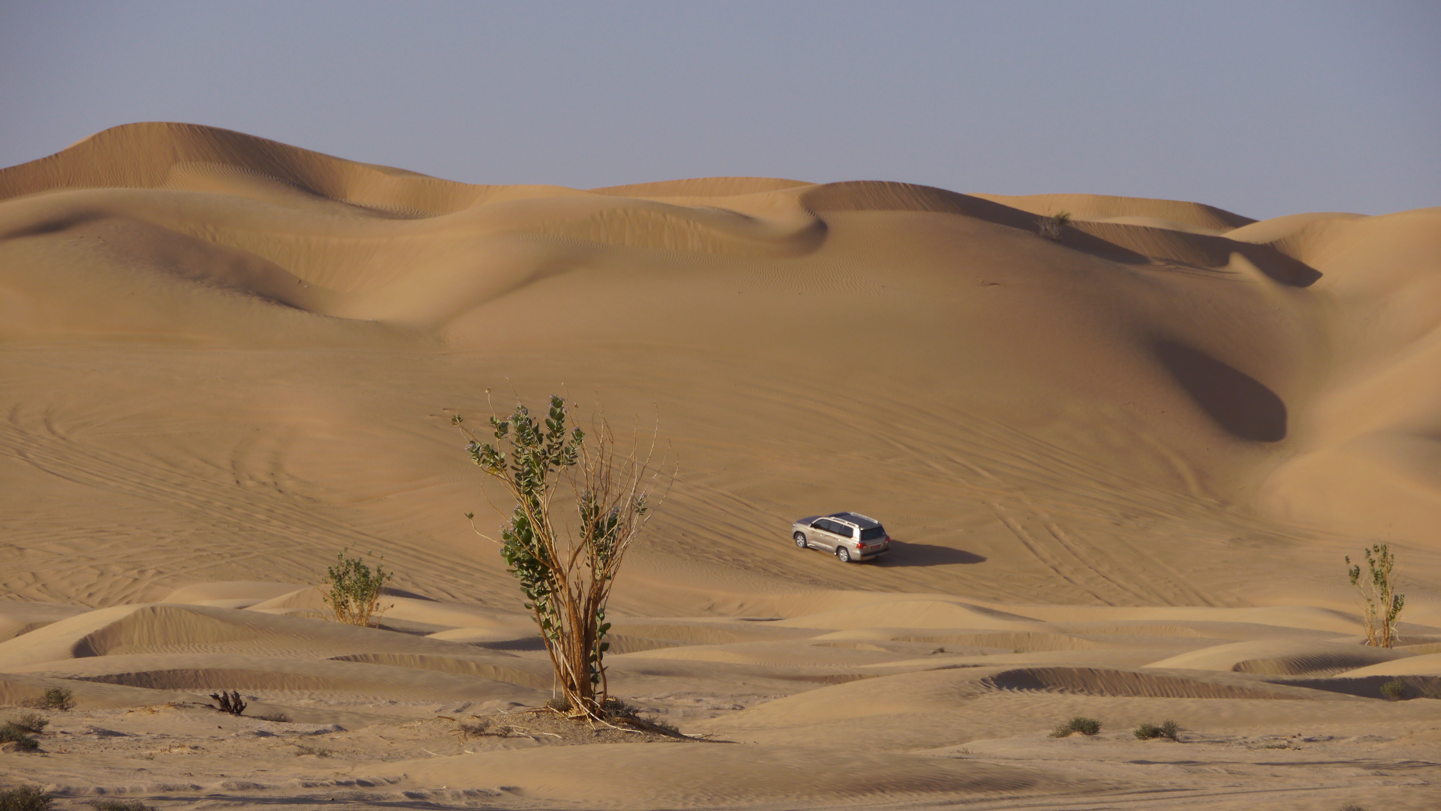 Off-road car climbing the dunes of Rub al-Khali, Empty Quarter, Desert trip from Salalah. Empty Quarter