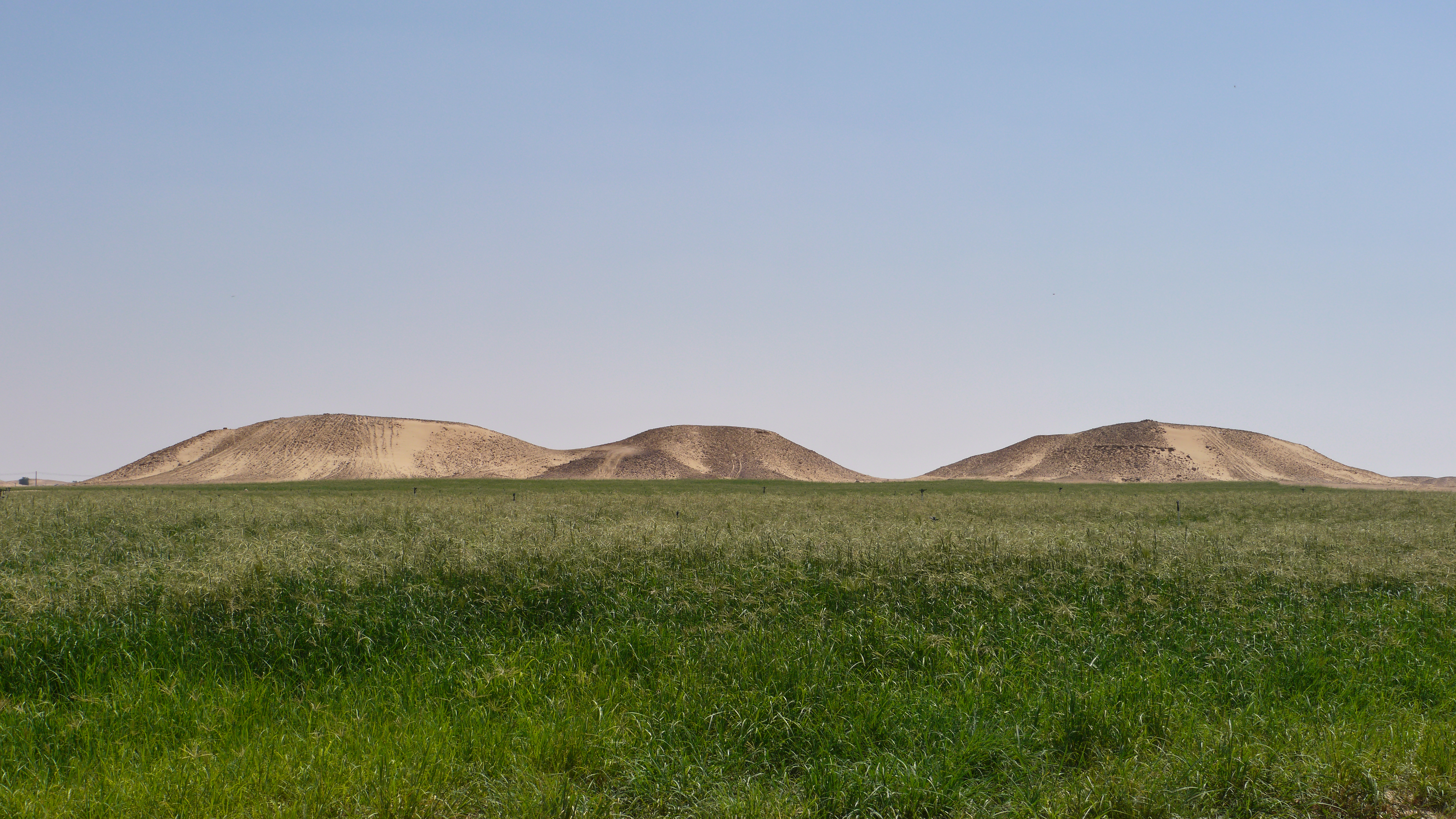 Rub al-Khali (Empty Quarter) is not only a kingdom of sand but thanks to irrigation wast areas were cultivated. Sunset in the desert and desert overnight trip.