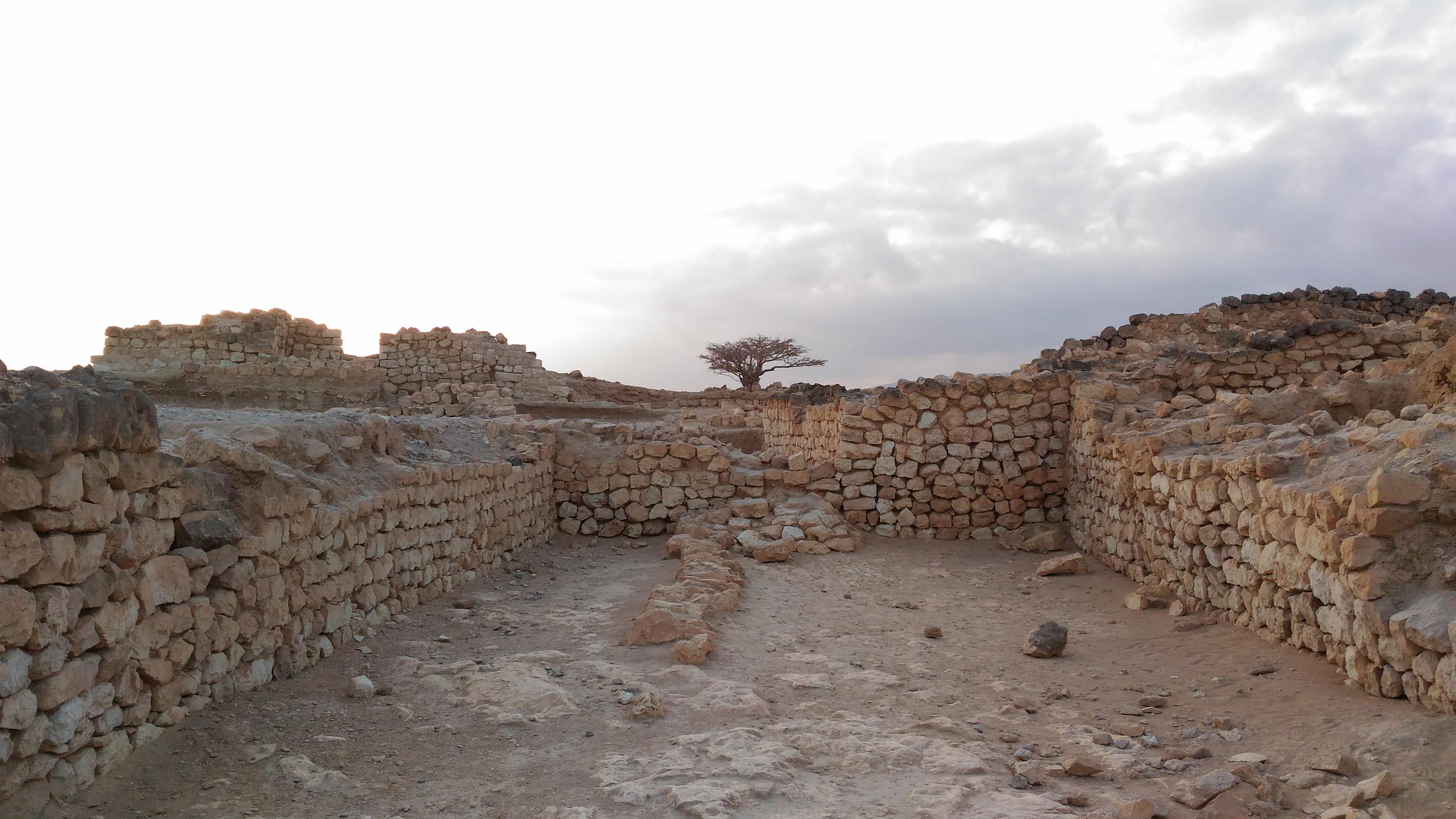 Ruins of Samharam Unesco World Heritage site. Major port for frankincense trade. Salalah East trip.