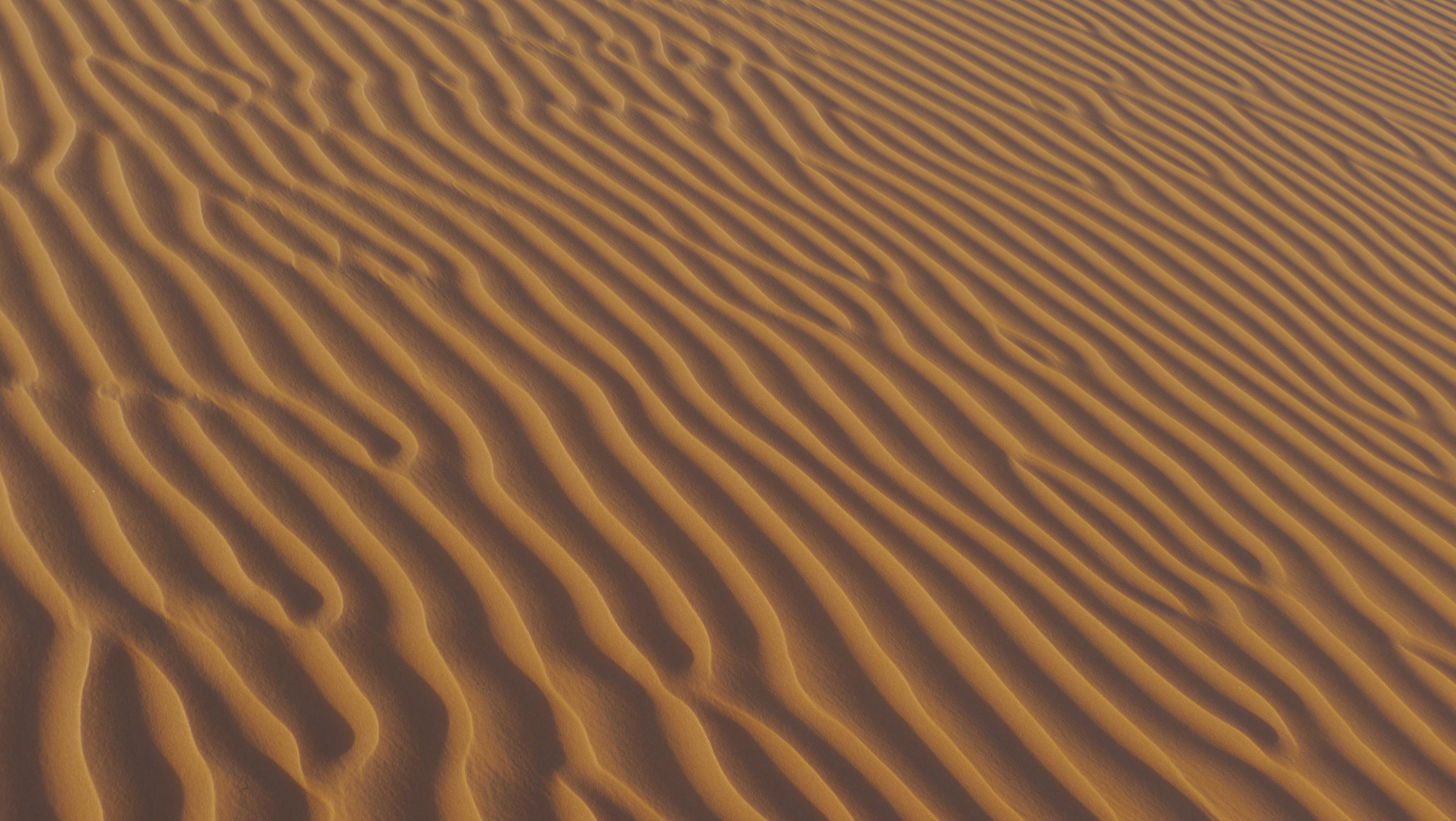 Structure of the dune in Empty Quarter, Excursion from Salalah to the Empty Quarter
