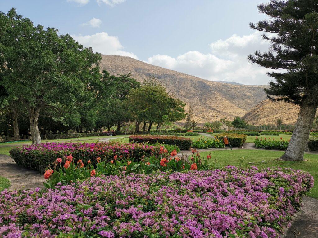 Ayn Razat gardens Salalah